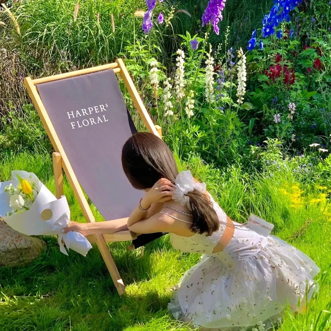 在猿乐町见面吧